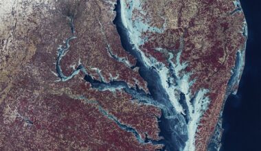Chesapeake Bay Locked in Ice