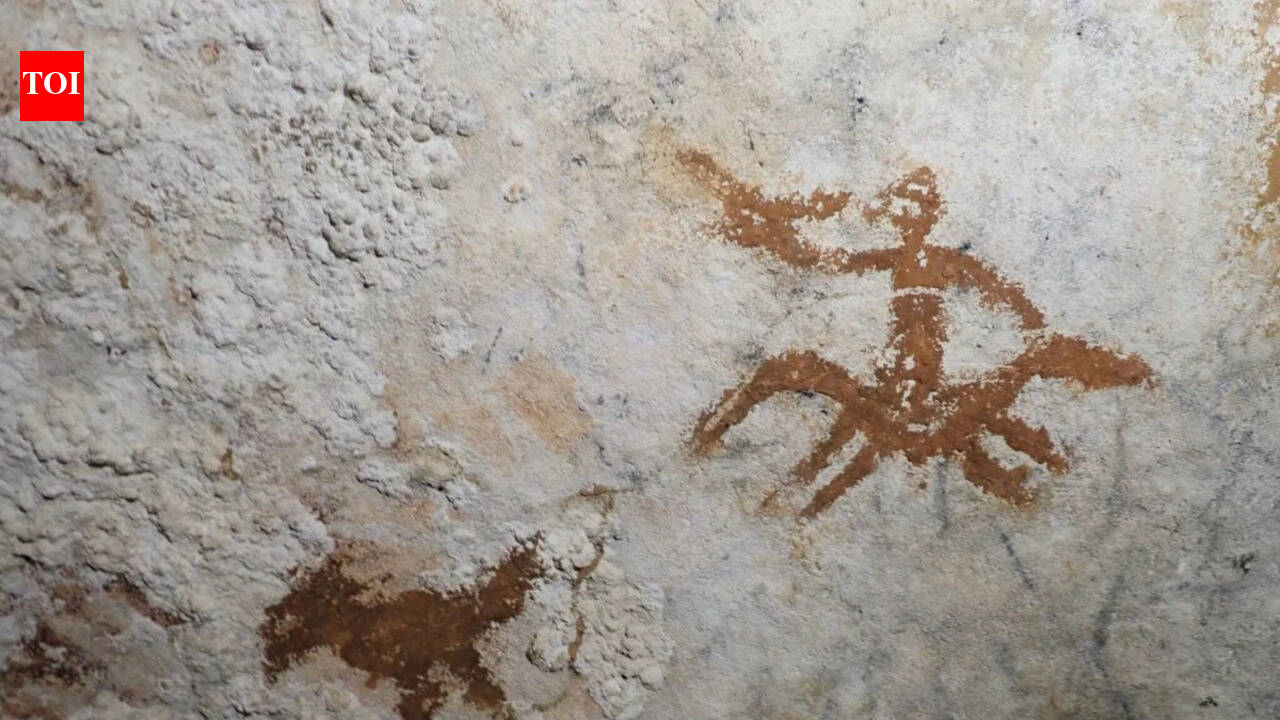 67,800-year-old hand stencil: The oldest dated rock art discovered in Indonesia | World News