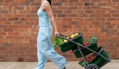  Multi-Level Granny Cart Provides Way Better UX