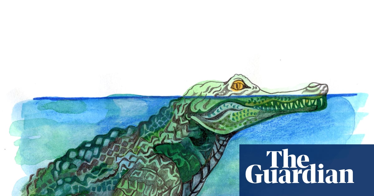 How long can crocodiles stay under water without breathing? The kids’ quiz | Family
