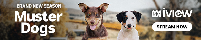 16_MusterDogsS4_C-1212_iview_banner_640x128