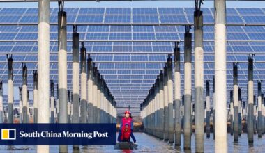 China’s clean power energising economy, adding a Brazil’s worth of GDP: report