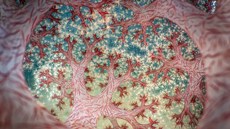 Close-up Photographer of the Year announces 2025 winner