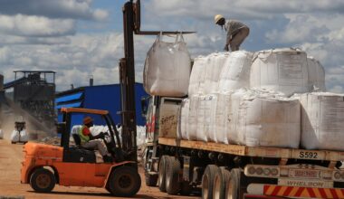 Zimbabwe imposes ban on exports of all raw minerals and lithium concentrate | Mining News