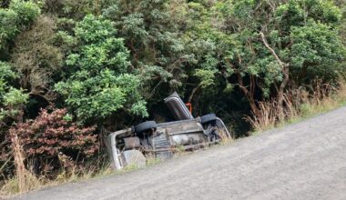 'Giving a bit too much way': One injured in Catlins crash