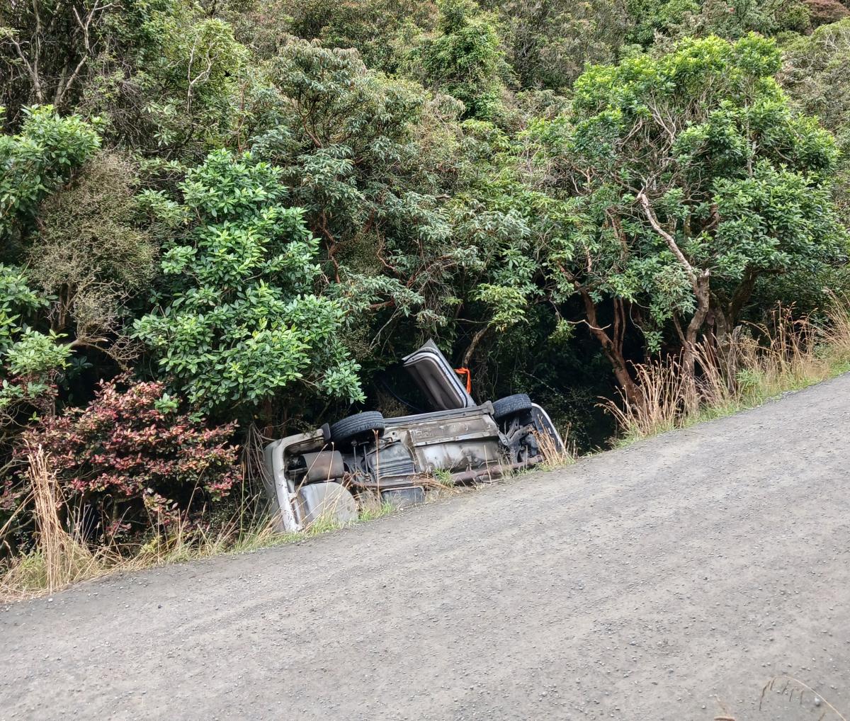 'Giving a bit too much way': One injured in Catlins crash
