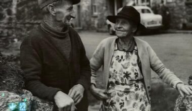 Penzance art exhibitions displaying contrasting styles