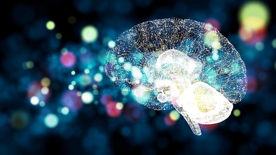 A visualization of a digital brain.