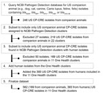 Workflow for identification and inclusion of genetically related US companion animal and human CP-CRE isolates using the NCBI Pathogen Detection database used in study of genetically similar high-risk strains of carbapenemase-producing Enterobacterales in humans and companion animals, United States. CP-CRE, carbapenemase-producing carbapenem-resistant Enterobacterales; IMP, imipenemase metallo-β-lactamase; KPC, K. pneumoniae carbapenemase; NCBI, National Center for Biotechnology Information; NDM, New Delhi metallo-β-lactamase; OXA, oxacillinase; VIM, Verona integron-encoded metallo-β-lactamase.