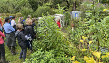 SunLive - Safari offers 5 ways to grow food