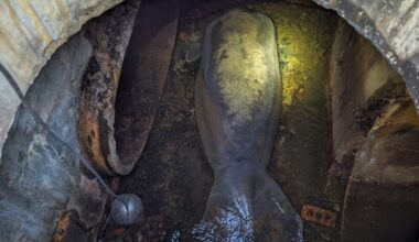A 410-pound manatee rescued from a Florida storm drain is recovering at SeaWorld Orlando