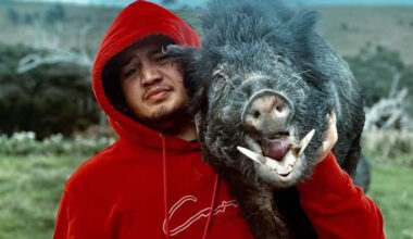 SunLive - Coroner rules teen driver's death was preventable