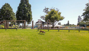 SunLive - Te Puna residents battle wandering dogs