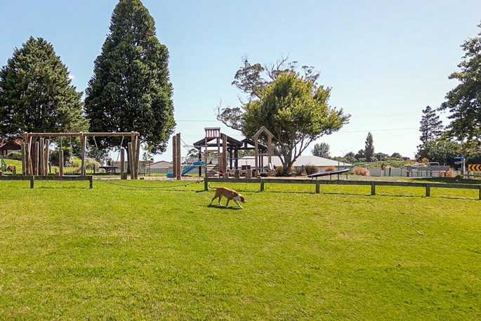 SunLive - Te Puna residents battle wandering dogs