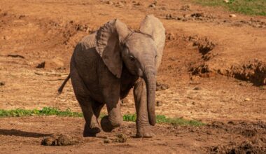 Yahoo lifestyle home