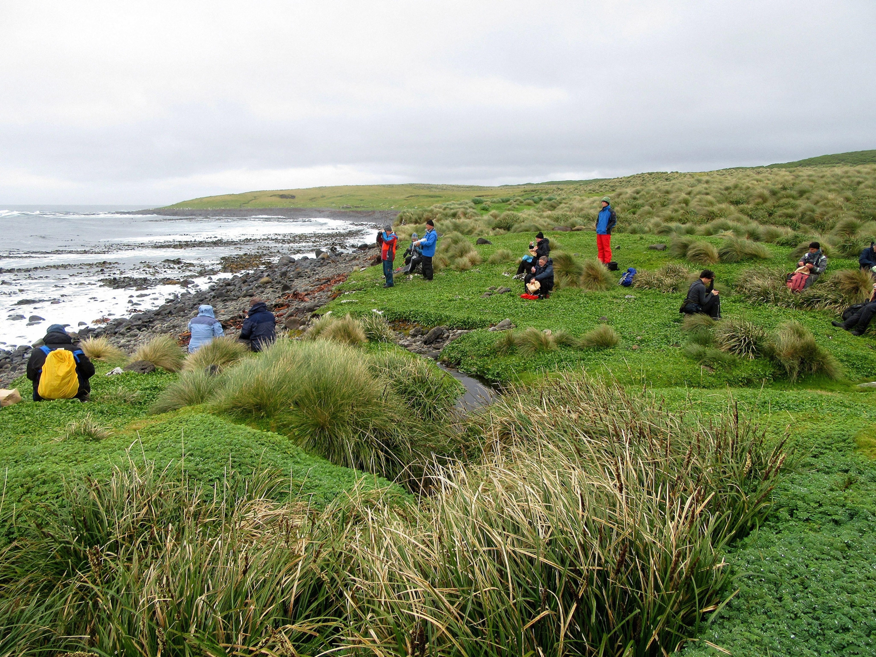 A group of people stand on a grassy cliff overlooking a rocky coastline, bright gray sky