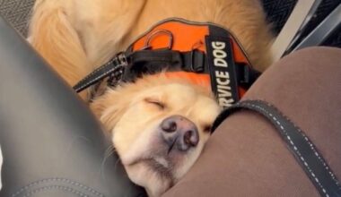 Yahoo lifestyle home