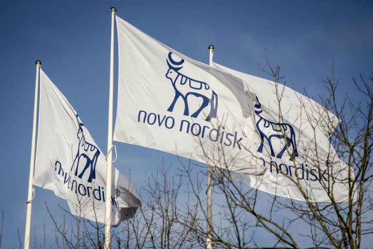 Shares in Novo Nordisk have taken a beating this week after it warned of lower sales revenue in the United States as intensified competition pushes down prices (Mads Claus Rasmussen)