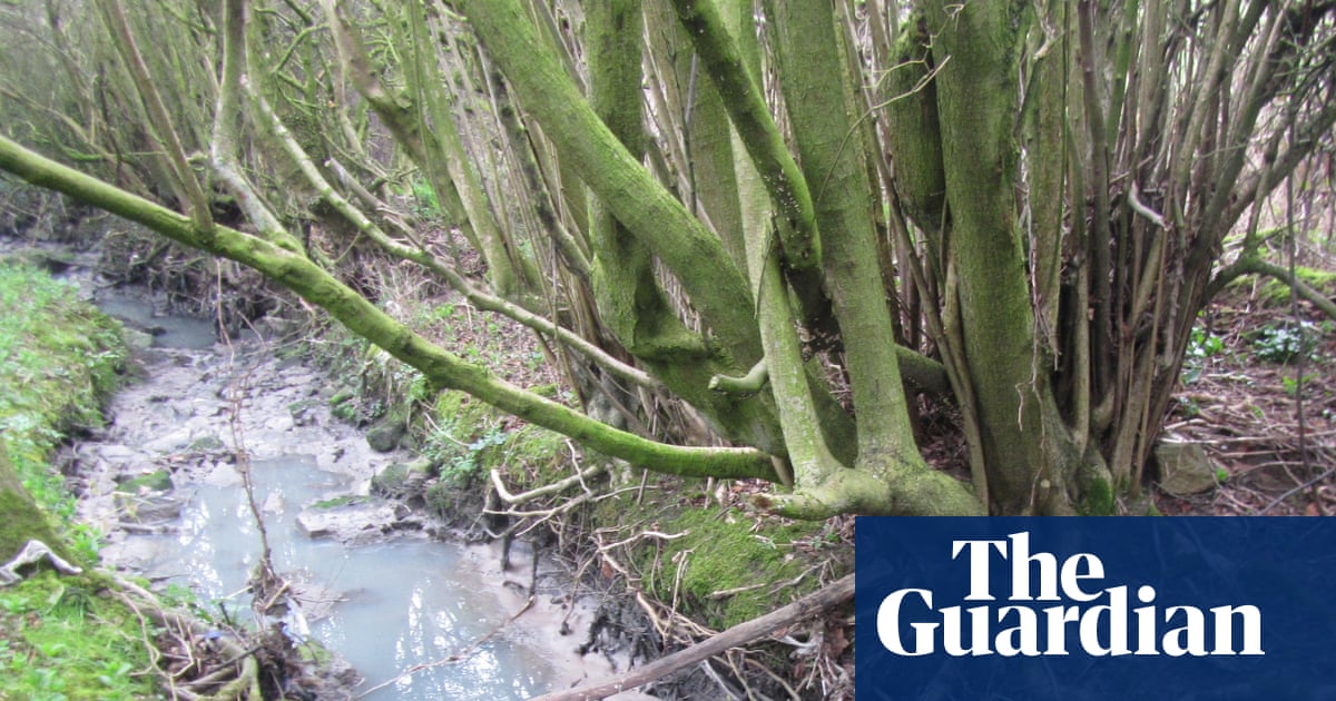 Yorkshire Water fined over £700,000 for repeated sewage releases | Water