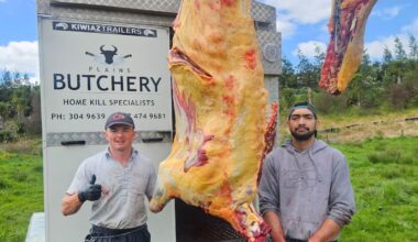 Edgecumbe homekill butcher plans micro abattoir to cut meat waste