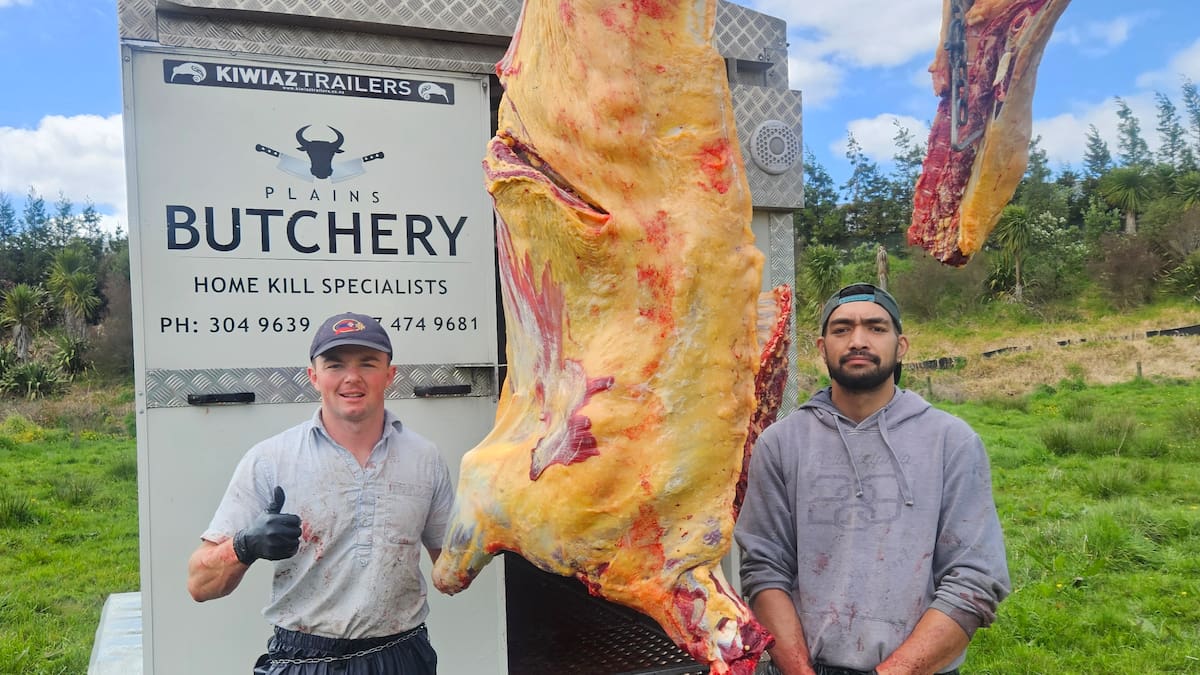 Edgecumbe homekill butcher plans micro abattoir to cut meat waste