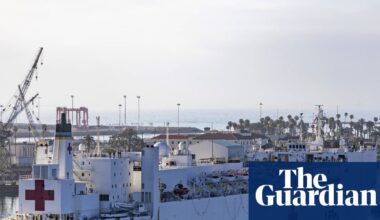 Greenland says ‘no, thanks’ to Trump’s US hospital boat | Greenland