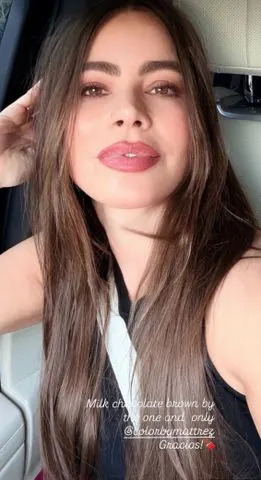 Sofia Vergara on February 4, 2026. Sofia Vergara/Instagram