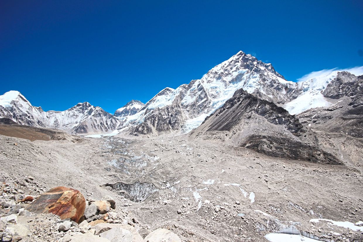 Feral dogs on the roof of the world
