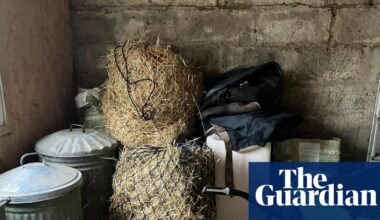 Country diary: Hay stocks are running low – this is the long tail of last year’s drought | Environment