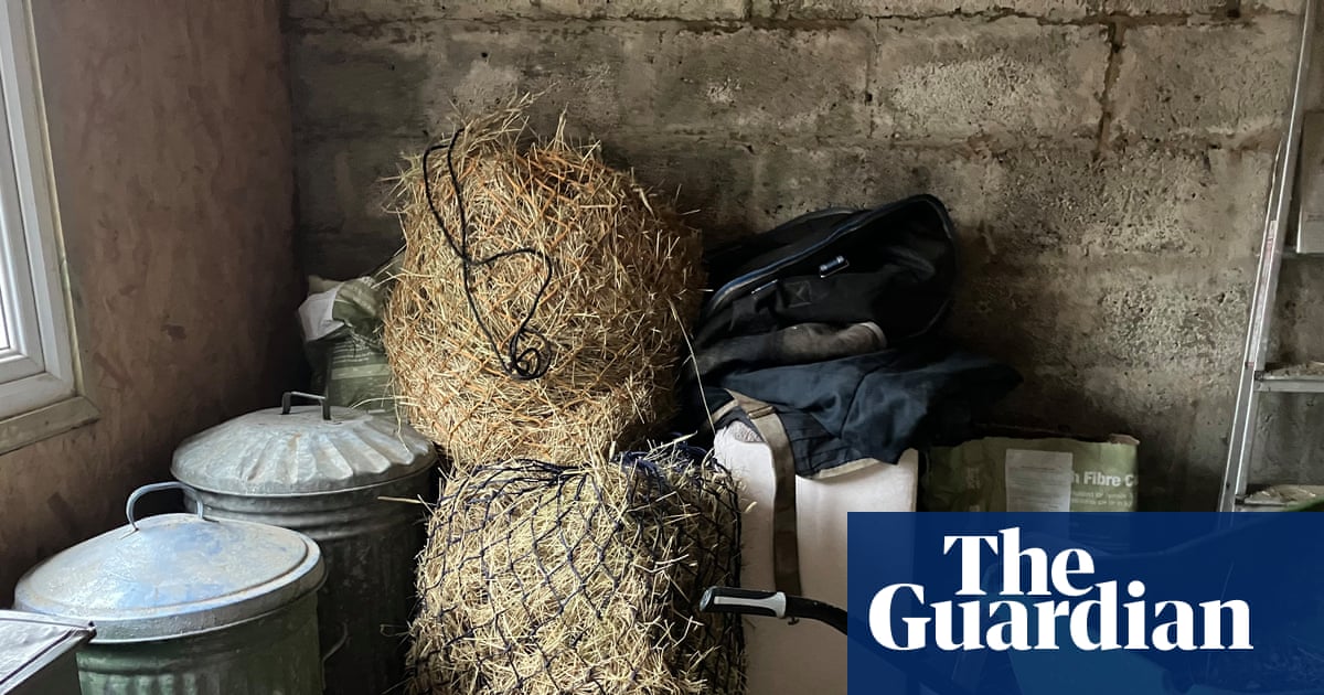 Country diary: Hay stocks are running low – this is the long tail of last year’s drought | Environment