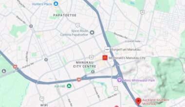 Pedestrian dead after being struck by vehicle on Auckland’s Southern Motorway