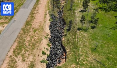 Untouched illegal tyre dump sparks continued calls for legislation and innovation around recycling