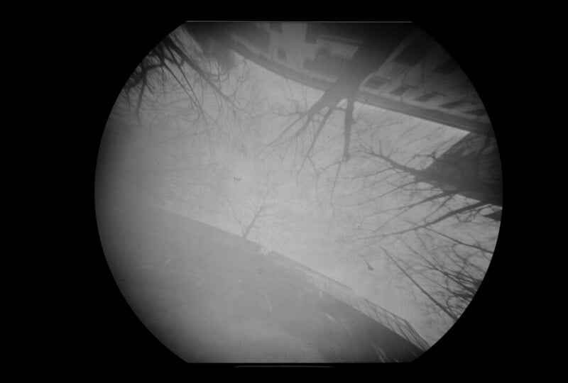 A black and white circular image shows an upside-down view of bare tree branches and buildings, resembling a pinhole camera or lens effect, with slight blurring around the edges.