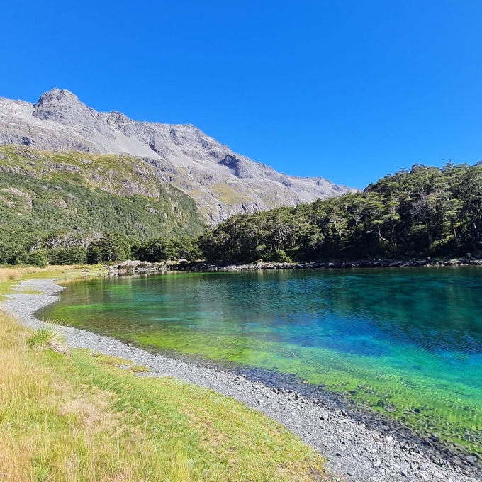 Lake Rotomairewhenua, also known as Blue Lake, in New Zealand. Photo from Instagram