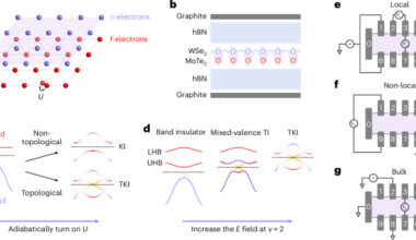 Topological Kondo insulator in MoTe2/WSe2 moiré bilayers