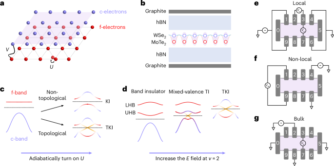 Topological Kondo insulator in MoTe2/WSe2 moiré bilayers
