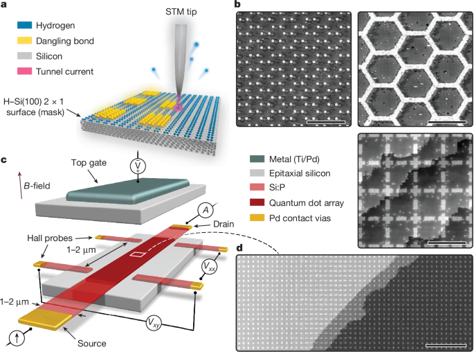 Large-scale analogue quantum simulation using atom dot arrays