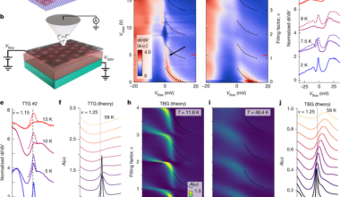 Resolving intervalley gaps and many-body resonances in moiré superconductors