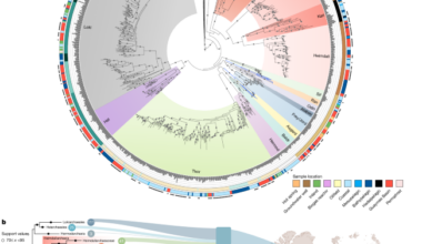 Oxygen metabolism in descendants of the archaeal-eukaryotic ancestor