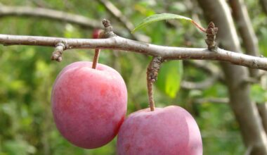 Tenancy Tribunal rejects bid to evict Christchurch tenant Gregory Deighton over contractor clash
