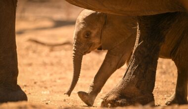 Yahoo lifestyle home