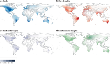 Extreme events and river biodiversity under climate change