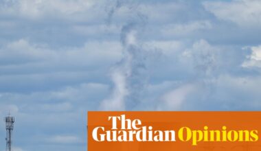 Labor will never have a better time to revisit carbon pricing – but does it have the stomach to make polluters pay? | Adam Morton