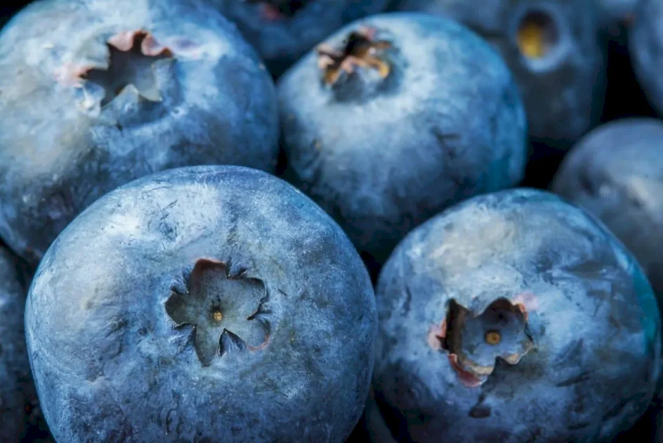 Surpassing Blueberries... 11 Foods Rich in Antioxidants