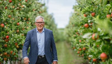 Napier Mayor Richard McGrath names Roger Brownlie as new Deputy Mayor after Sally Crown stood down