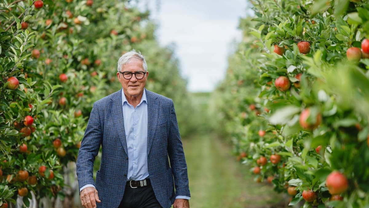 Napier Mayor Richard McGrath names Roger Brownlie as new Deputy Mayor after Sally Crown stood down