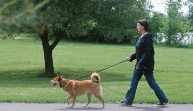 Dog walker attacked in Pakūranga, East Auckland park – police hunting for 3 people