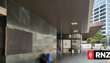 Man appears in court after Auckland assault leaves two seriously hurt