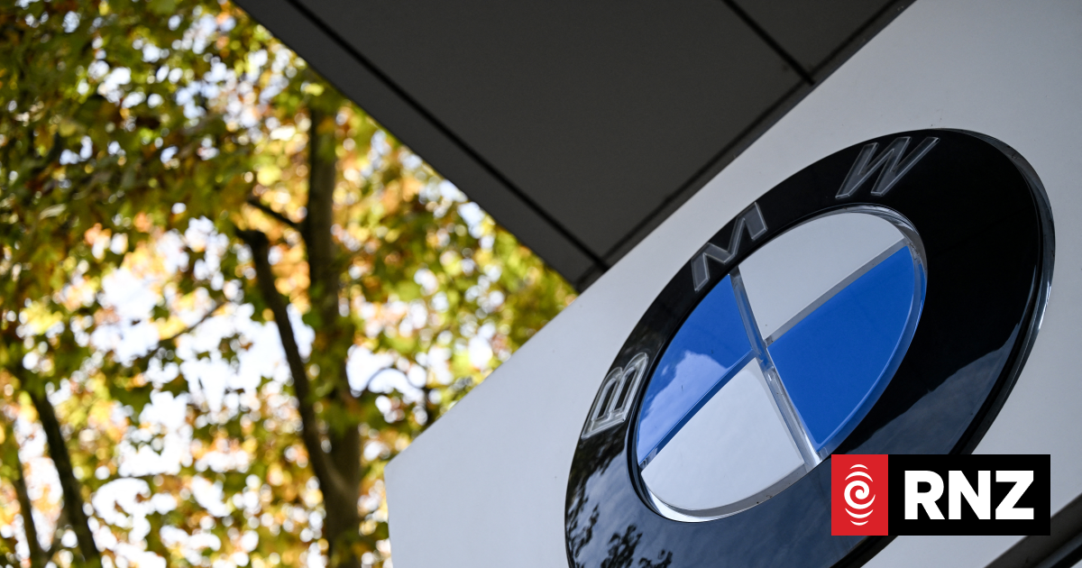 BMW orders worldwide car recall over fire risk