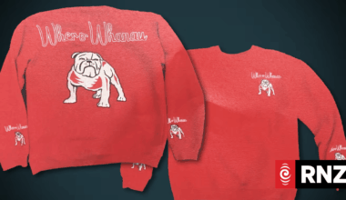 Wellington Mongrel Mob member Barry Kahui loses court bid for the return of his seized sweatshirt